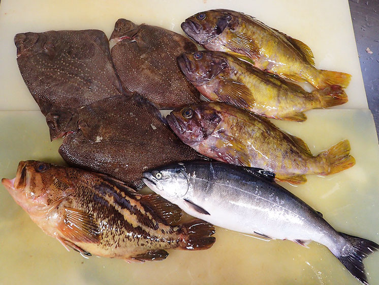 羅臼産 高級魚 寿司