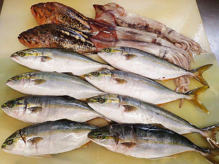 羅臼から届いた新鮮地魚です。イナダが届いちゃうとか驚き！船上〆＆直送だから鮮度最高です！