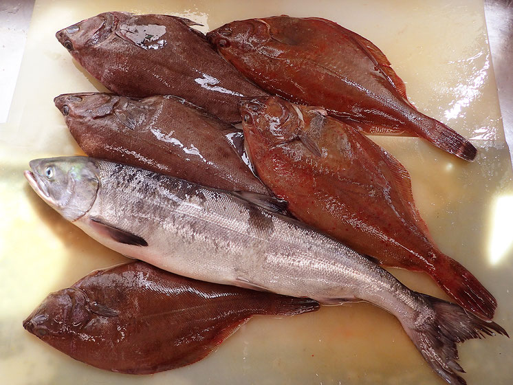 知床の美味しい地魚が届きました。秋鮭届いてます。北海道から届く季節を感じる美味しい魚です。