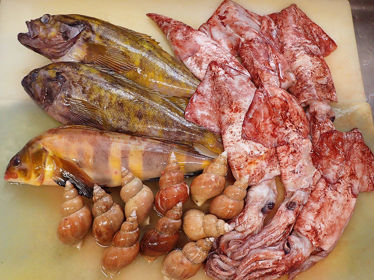 北海道の羅臼町から届きました。天然地魚です。