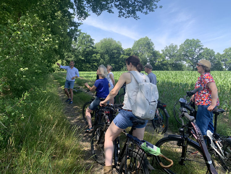 Gruppe von Radfahrern auf einem Feldweg neben einer dichtbelaubten Hecke