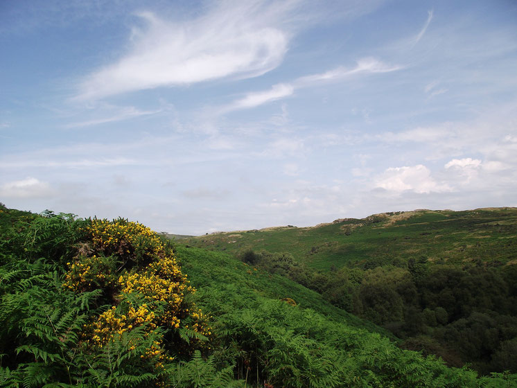 Dartmoor, Devon, England