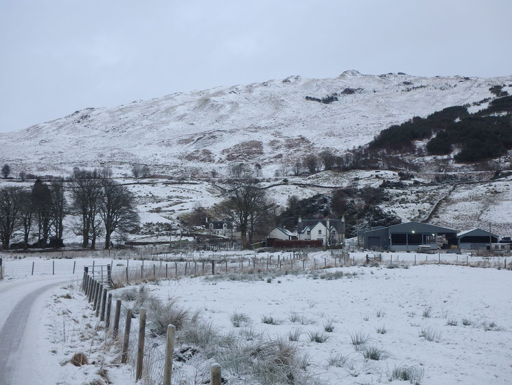 Snow on Kirkton Farm, West Highland Way in December