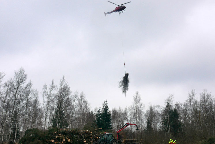 Helikopter und Boden-Team im Einsatz (Foto: Klaus Gottschaldt)