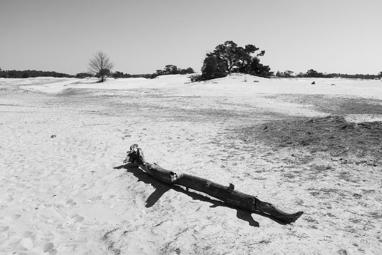 Kootwijkerzand, Gelderland, Apeldoorn, Flugsand, Wüste, Niederlande, Veluwe, Kootwijk, Radio Kootwijk,