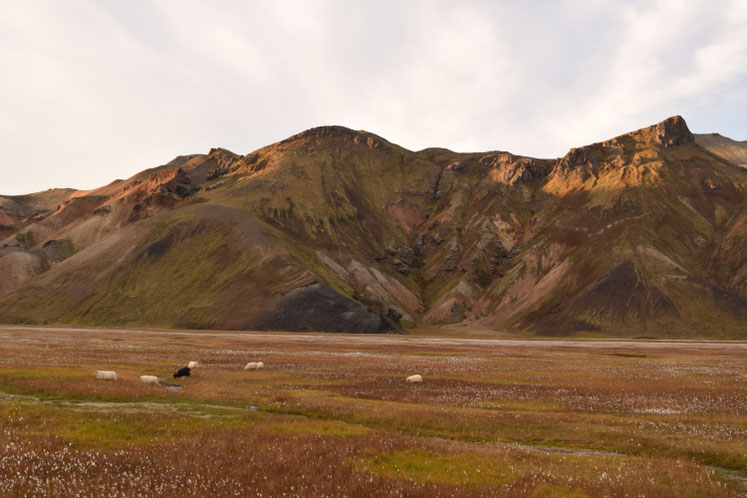 Suðurnámur from Vondugil
