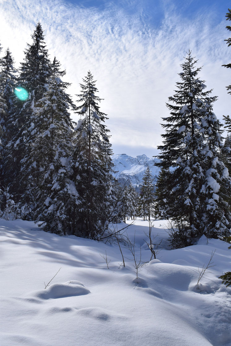 Winter snow, Morgins, Switzerland 