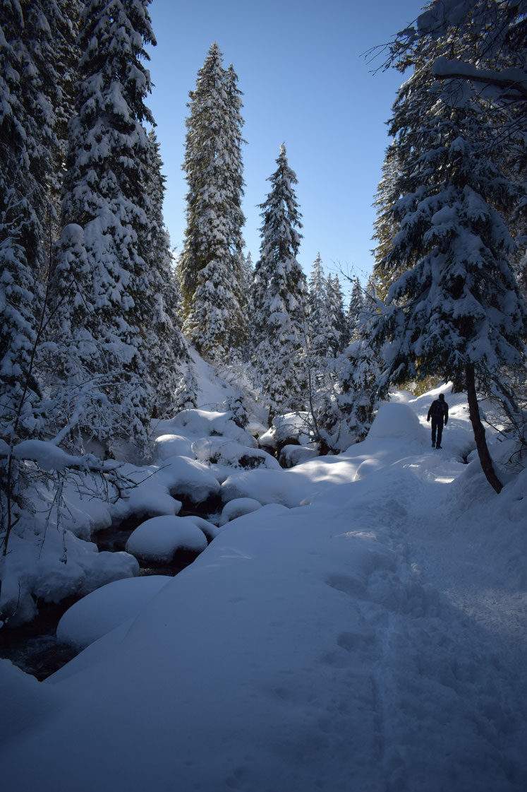 Winter snow, Morgins, Switzerland 