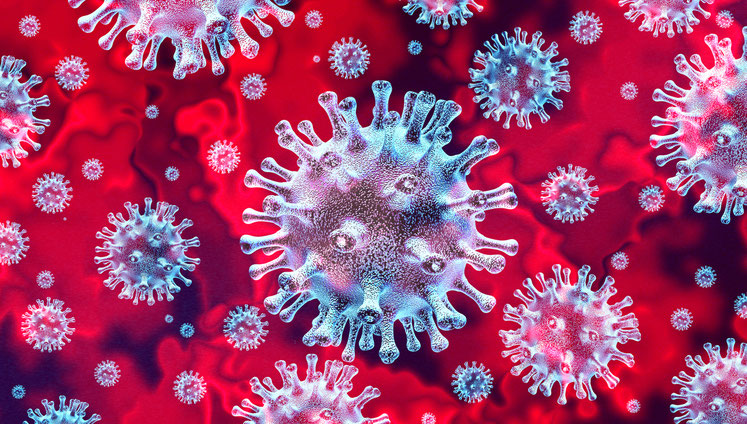 photo d'un virus