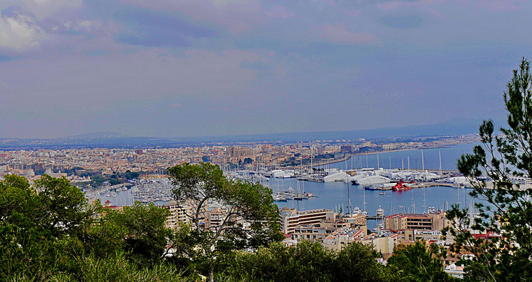 Blick auf Palma und den Hafen
