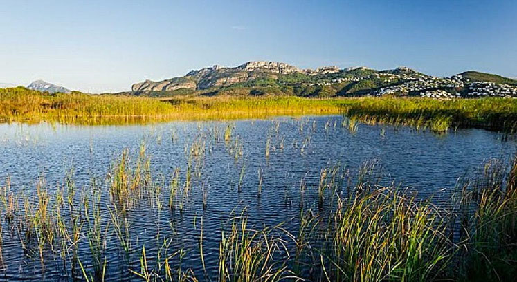 El Parque Natural del Marjal de Pego-Oliva, este ecosistema destaca por su sistema de manantiales que nutren ríos de aguas cristalinas, como el Bullens y el Racons, manteniendo una temperatura constante de entre 17 y 19 grados durante todo el año.