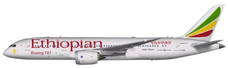 Aircraft Type: Boeing 787-8/-9 Dreamliner