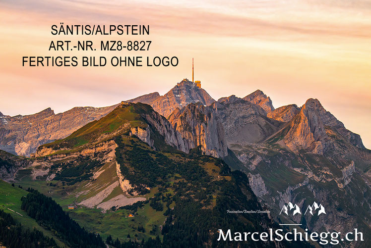Säntis, Alter Säntis, Wandbild, Berggasthaus Alter Säntis, Berggasthaus Schäfler
