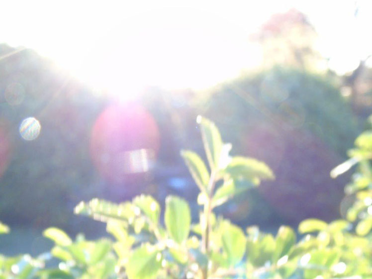 Morgenlicht, Quelle: www.lichtwesenfotografie.com