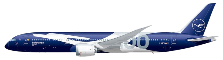 Aircraft Type: Boeing 787-9 Dreamliner (Allegris)