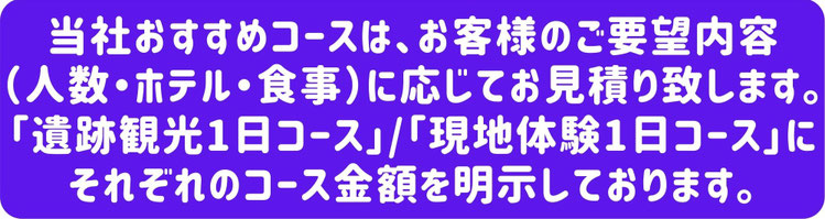 ゆったりめぐるシェムリアップ旅行｜年配者＆お子様がいるご家族にお勧めのプランです｜家族旅行｜プライベートツアー