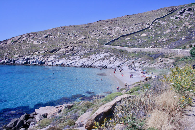 Mykonos Greece of penguins & elephants Paralia Kapari beach