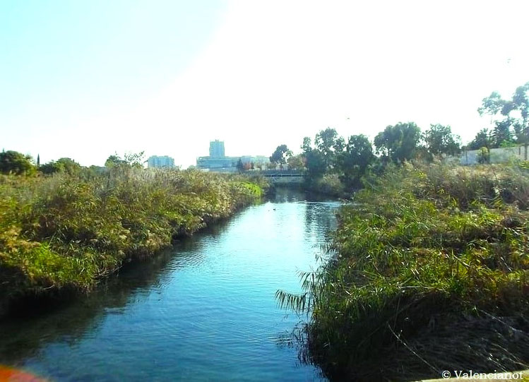 A partir de aquí comienza el Jardín del Turia con la Ciudad de las Artes y las Ciencias en primer lugar.
