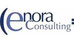 Consultant ISO 9001 PME pour ENORA, pour audit ISO. 