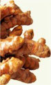 productos naturales curcuma