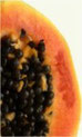 productos naturales papaya