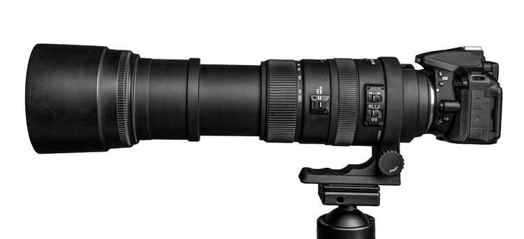 Sigma APO 150-500mm F 5,6-6,3 DG OS HSM - an der Nikon D5300