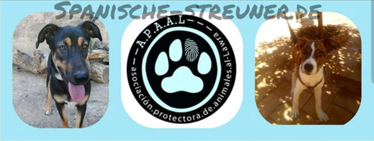 spanische-streuners Webseite!