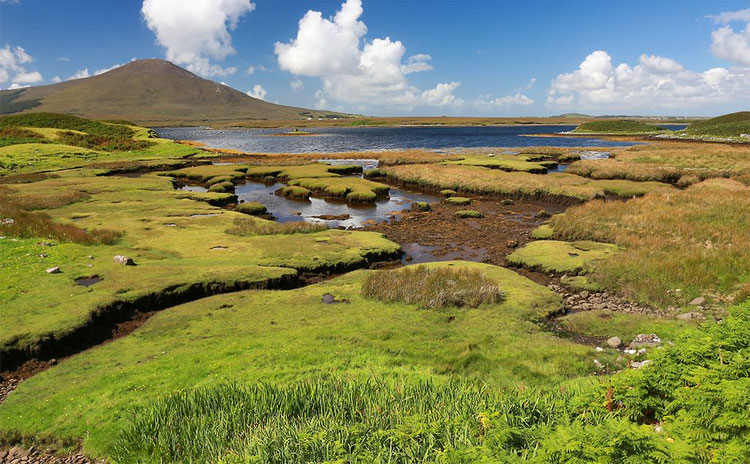 Auf dem Weg nach Achill Island.