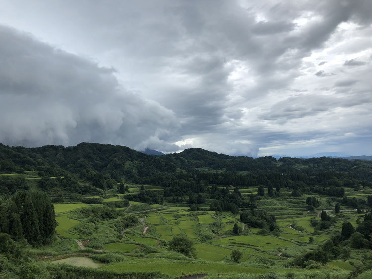 星峠の棚田　棚田　新潟　十日町市　新潟県