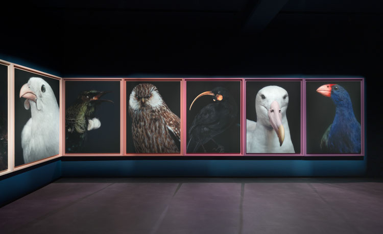 Detail view of a large-scale photograph by Fiona Pardington depicting a majestic, taxidermied native bird as part of the New Zealand Pavilion exhibition at the Venice Biennale
