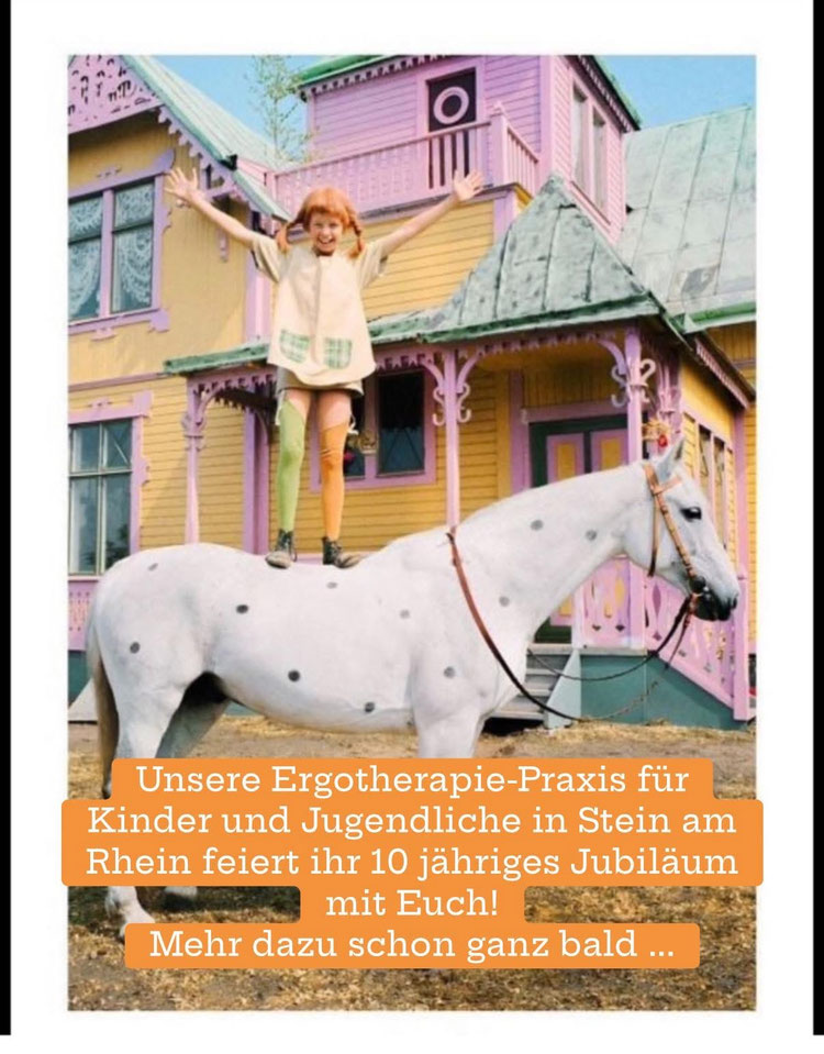 Ergotherapie-Praxis für Kinder-Jugendliche Stein am Rhein