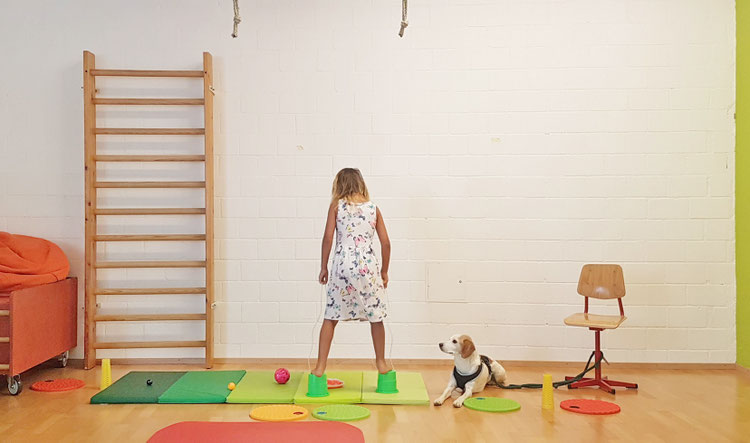Praxis für Kinder-Jugend- Ergotherapie in Stein am Rhein, Thurgau, Steckborn, Diesenhofen, ADS,ADHS, Entwicklungsverzögerung, Feinmotorik, Stifthaltung, Aufmerksamkeitsstörung, sensorische Integration