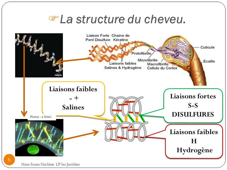 La déformation temporaire Site de bvcoiftec