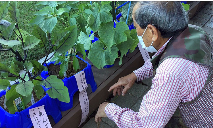 野菜名人への相談を記入した「植木鉢の貼り紙」と「相談に答える動画」を活用して交流を図る。