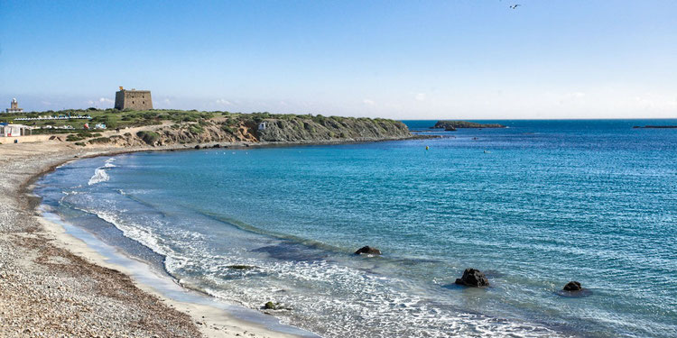 En Tabarca alguna de las artes de pesca más interesantes permitidas dentro de la reserva son denominadas moruna grossa y moruna xirretera. 
