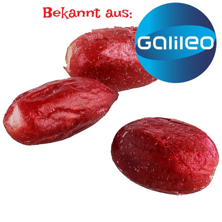 Miracle Fruit Shop - Fruudoo | Wunderbeeren | Tabletten