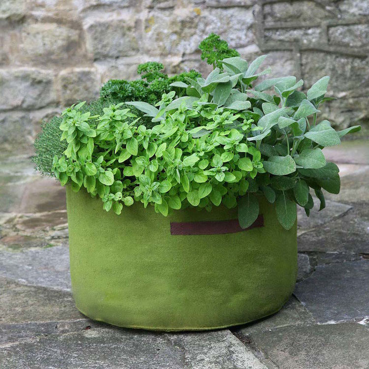 Haxnicks Pflanzsäcke für das Urban Gardening - The golden Rabbit