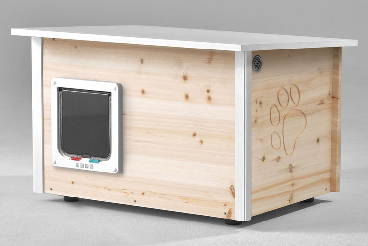 running rabbit Katzenhäuser - running rabbit Katzenhäuser- katzenhaus