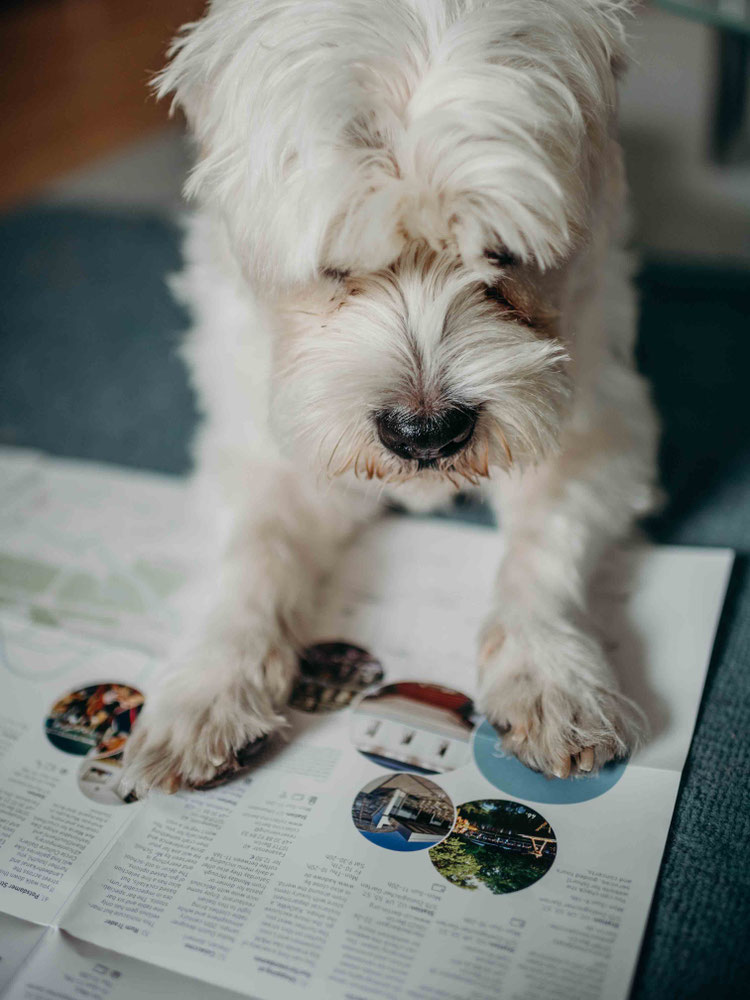 Berlin in a map walk this way