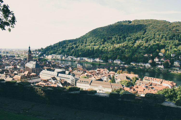 Heidelberg Germany ofpenguinsandelephants of penguins & elephants view above city