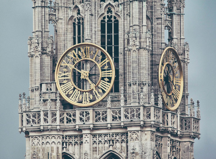 Antwerp Belgium ofpenguinsandelephants of penguins & elephants Cathedral of Our Lady UNESCO