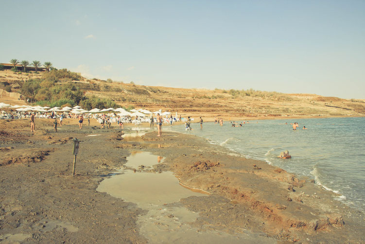 Israel ofpenguinsandelephants of penguins & elephants Kalia Beach Dead Sea