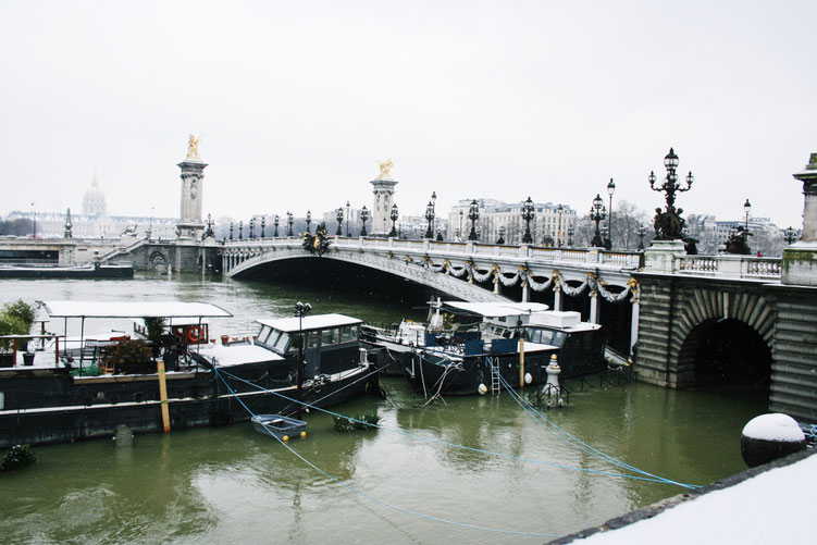Paris France ofpenguinsandelephants of penguins & elephants pont Alexandre 3 bridge