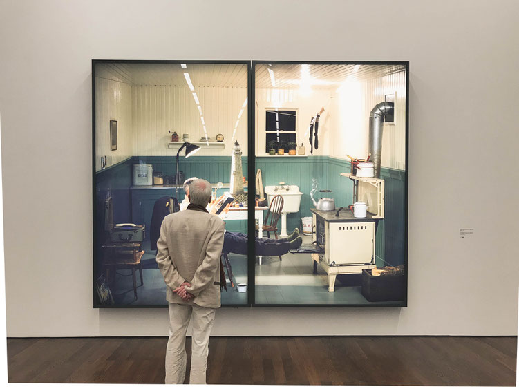 Baden-Baden Germany ofpenguinsandelephants of penguins & elephants Frieder Burda Museum Lightboxes Rodney Graham