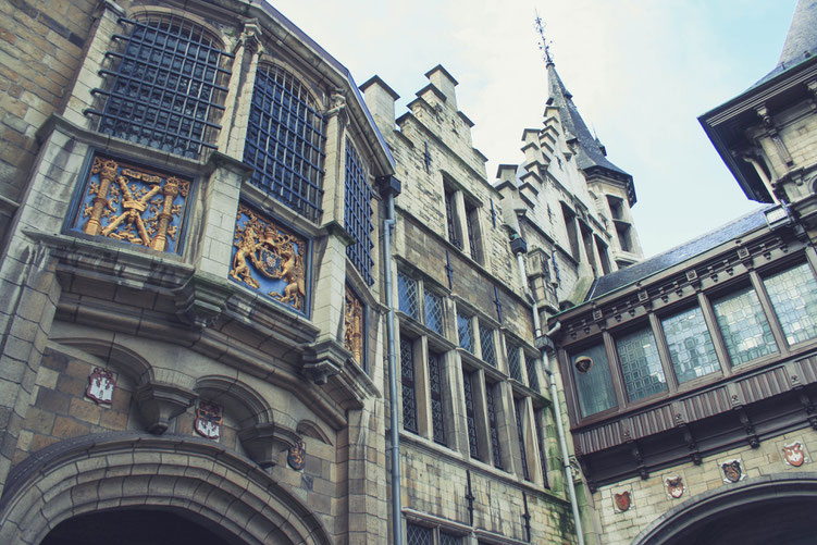 Antwerp Belgium ofpenguinsandelephants of penguins & elephants city castle Steen