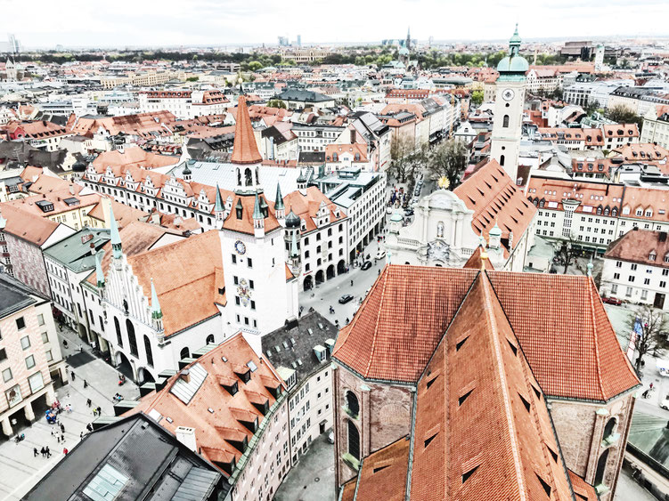 Munich Germany ofpenguinsandelephants of penguins & elephants view St. Peters church