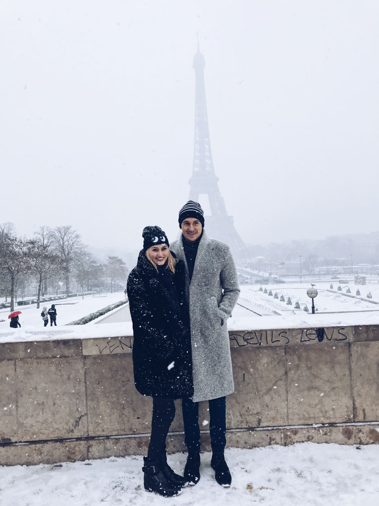 Paris France ofpenguinsandelephants of penguins & elephants Eiffel tower