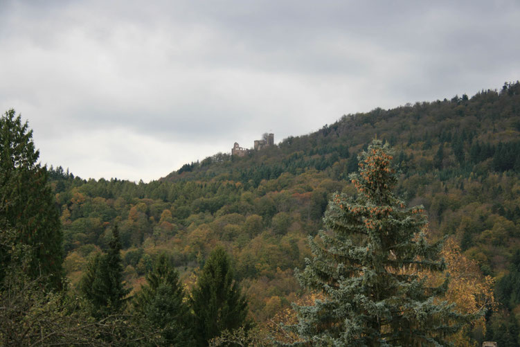 Baden-Baden Germany ofpenguinsandelephants of penguins & elephants Rattert hill old castle hike