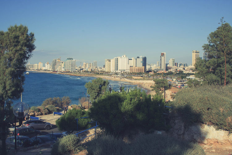 Tel Aviv Israel Asia Middle East ofpenguinsandelephants of penguins & elephants skyline beach view