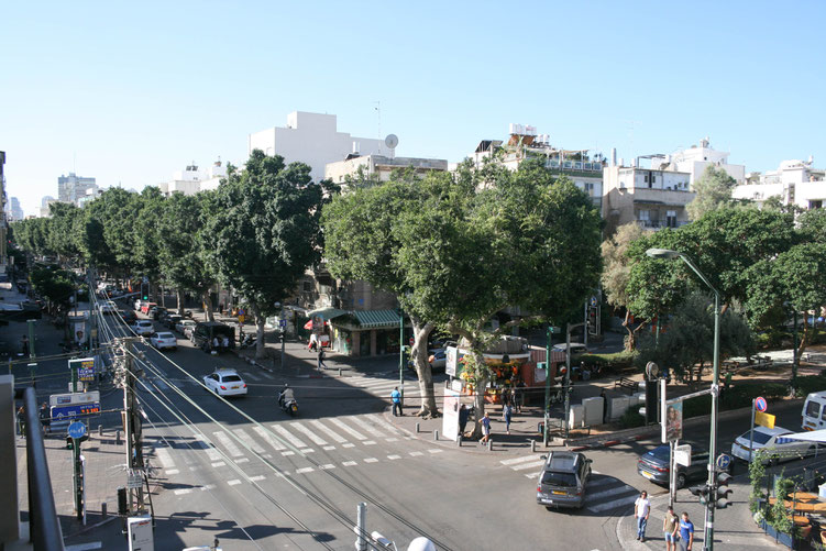 Israel ofpenguinsandelephants of penguins & elephants Tel Aviv